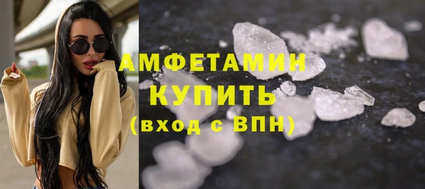 хмурый Верея