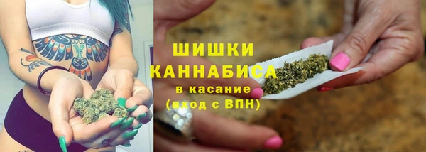 хмурый Верея