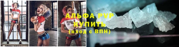 хмурый Верея