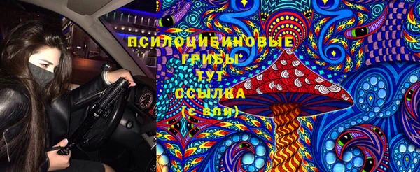 хмурый Верея