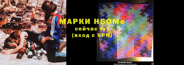 хмурый Верея