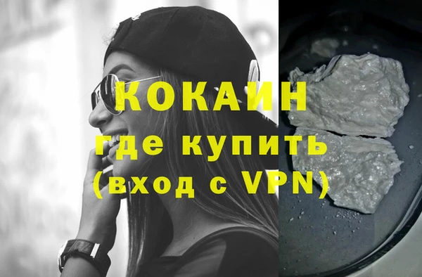 хмурый Верея