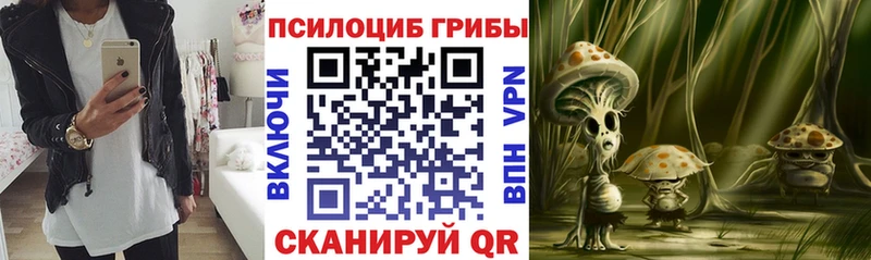 хочу   Нижнекамск  Псилоцибиновые грибы Psilocybine cubensis 
